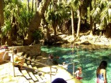 Mataranka Thermal Pool * 1280 x 960 * (525KB)